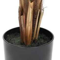 HOMLA Roslina Sztuczna Tropical Zone Palma 120 Cm Sale