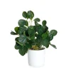 HOMLA Roslina Sztuczna Tropical Zone Pepperomia 43 Cm Best