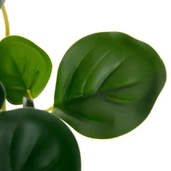 HOMLA Roslina Sztuczna Tropical Zone Pepperomia 43 Cm Best