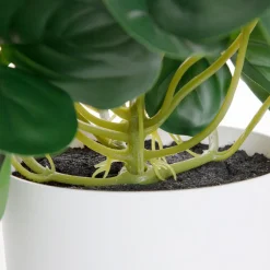 HOMLA Roslina Sztuczna Tropical Zone Pepperomia 43 Cm Best