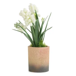 HOMLA Roslina W Donicy Convallis Konwalie 15X15X30 Cm Bialy Best