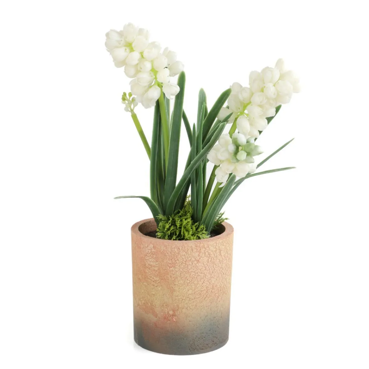 HOMLA Roslina W Donicy Convallis Konwalie 15X15X30 Cm Bialy Best