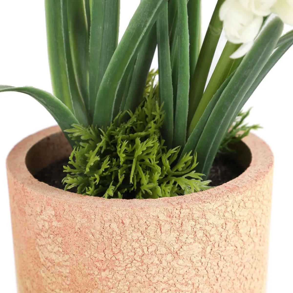 HOMLA Roslina W Donicy Convallis Konwalie 15X15X30 Cm Bialy Best