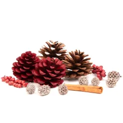 HOMLA Susz Dekoracyjny Roque Pine & Cinnamon 18X12X7 Cm Discount