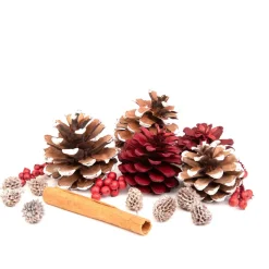HOMLA Susz Dekoracyjny Roque Pine & Cinnamon 12X16 Cm Sale