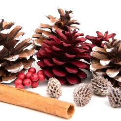 HOMLA Susz Dekoracyjny Roque Pine & Cinnamon 12X16 Cm Sale