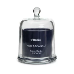 HOMLA Swieca Zapachowa Envy Aloe & Sea Salt 90 G Online