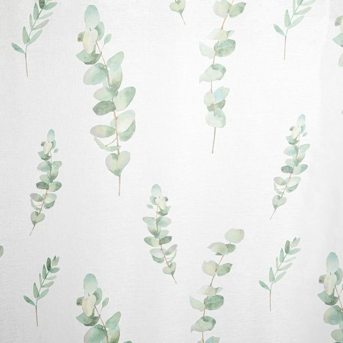 HOMLA Zaslona Eucalipto W Liscie Eukaliptusa 140X250 Cm Wielokolorowy Outlet
