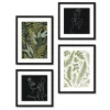 KNOR Zestaw Obrazow Paprocie 30X30 Cm+30X40 Cm Czarny New