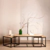 HOMLA Zestaw Stolikow Kawowych Maya Lite Drewno Mango + Metal 110X60X45 Cm/50X50X40Cm Naturalny Best