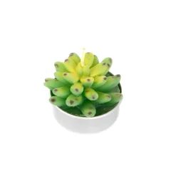 HOMLA Zestaw Swiec Jade 6 Szt. Sukulenty 166 G Hot
